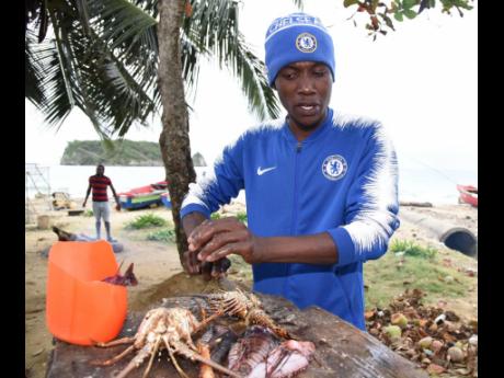 Fisherman Delano McKenzie scales and guts fish and prepares lobsters at Pagee Beach in St Mary on Wednesday. The fishermen complain that with more persons entering the trade, coupled with overfishing, they are seeing poor catches on a regular basis.