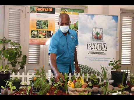 Member of Parliament for South East St Catherine, Robert Miller, looks at herbs during the launch of the Backyard Garden project at the HEART College of Construction Services in Portmore, St Catherine, on February 19.