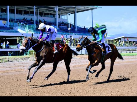 SUBBIE (left) ridden by Jahvaniel Patterson creates an upset by winning the second race at Caymanas Park on Saturday, February 6, 2021.