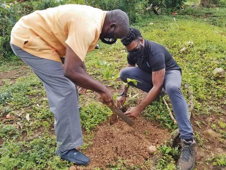 Above: Councillor for the Beecher Town division in St Ann, Ian Bell (left), and Sherrón Barker, fishing manager at Food For The Poor, plant a tree during the launch of the tree-planting initiative in Parry Town, St Ann. 