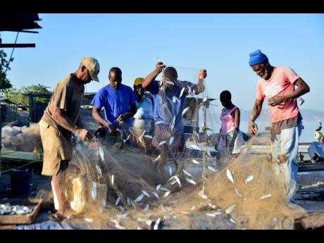 Fishermen helping each other to retrieve fish from there nets after an all-night outing in this February 2020 file photo.