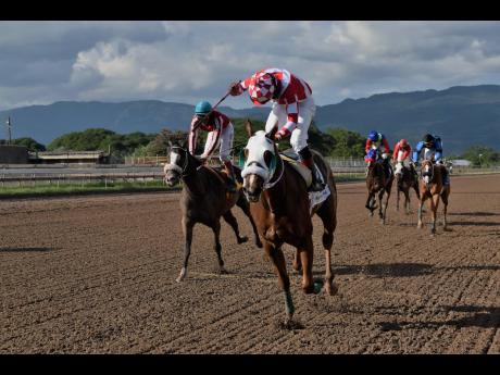 Anthony Minott/Freelance Photographer
FURTHER AND BEYOND ridden by Dane Nelson wins the PICK3 Super Challenge Trophy (seventh Race) at Caymanas Park on Sunday, November 29, 2020.