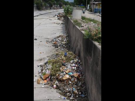 Garbage in the Sandy Gully dumped by residents of both Waterhouse and Drewsland is an eyesore. Residents say they are forced 
to dump the garbage in the gully because 
the garbage truck does not enter the communities often enough to clear the garbage.
