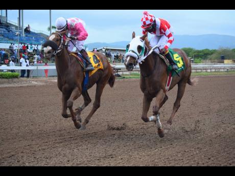 Miniature Man (left), ridden by Dick Cardenas, and Further and Beyond, ridden by Dane Nelson, finish in a dead heat on the sand track in the Kingston Trophy at Caymanas Park in Kingston on Saturday. Supreme Ventures Racing and Entertainment Chairman Solomo