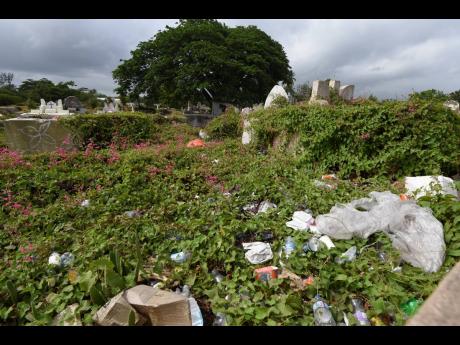 Some visitors to the No. 5 Cemetery have been unable to find the graves of their loved ones because tombs have been overtaken with vegetation. 