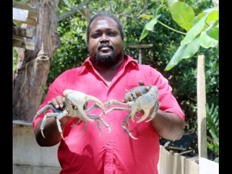 Crab farmer Jermaine Morris.