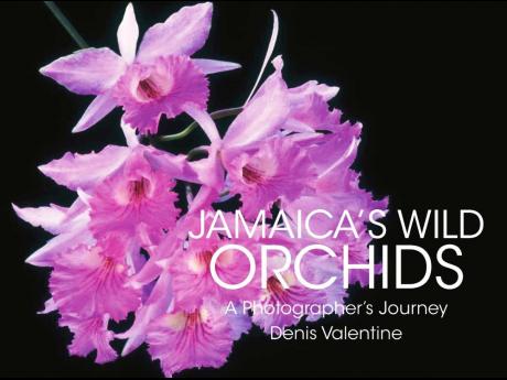 ‘Jamaica’s Wild Orchids’ cover.