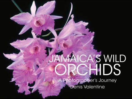 Jamaicas Orchids cover