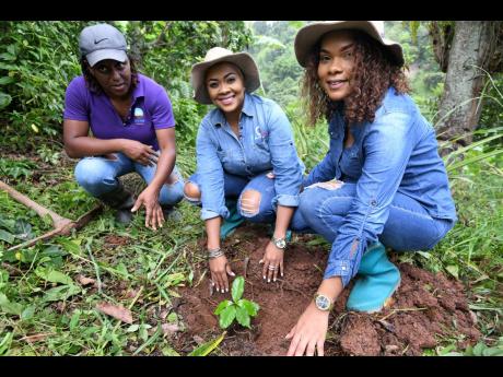 With the help of Patricia Fender (left), Debbie Bissoon (centre), and her sister, Rebecca Bissoon, get their hands dirty planting a coffee seedling.
