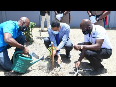 Prime Minister Andrew Holness (centre) plants a tree at his alma mater, St Catherine High School, last Friday, while Pearnel Charles Jr (right), minister of housing, urban renewal, environment and climate change, and Ainsley Henry, CEO and conservator of f