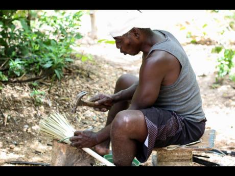 Wayne Michael Irving is playing his part in Canaan Heights, by teaching youth the technique of broom-making and the significance to Jamaica’s culture. He sits here with yard brooms made with bull thatch. 