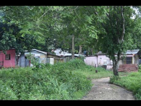 Dubbed ‘Little Haiti’, because of its similarity in living standards to the slums of the neighbouring French-speaking country, the unplanned settlement in Negril, Westmoreland is home to approximately 400 residents mainly from other parishes who came t