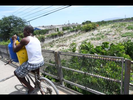 A man rides his bicycle over a bridge along a section of the Sandy Gully with overgrown trees on Spanish Town Road.