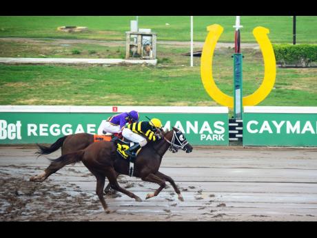 PRETTY CASH (right), ridden by Dane Dawkins, wins the ninth race in a close finish ahead of KING'S MAGICIAN, ridden by Linton Steadman, at Caymanas Park on Saturday.