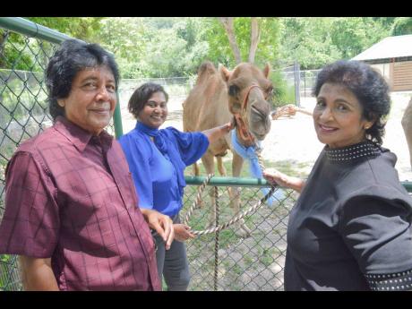 Chairman of the Hope Zoo Preservation Foundation Kenny Benjamin (left); Nayana Williams, chief executive officer of Lifespan; and  Valerie Juggan-Brown (right), director of Hope Zoo, all delightfully gathered around Katie, the Lifespan-sponsored camel.