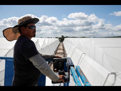 A worker helps build greenhouses for chilli peppers and tomatoes for export on the outskirts of the community of Las Tapias, San Marcos de Colon, Choluteca department, Honduras, on July 30, as part of special areas known as Employment and Economic Developm