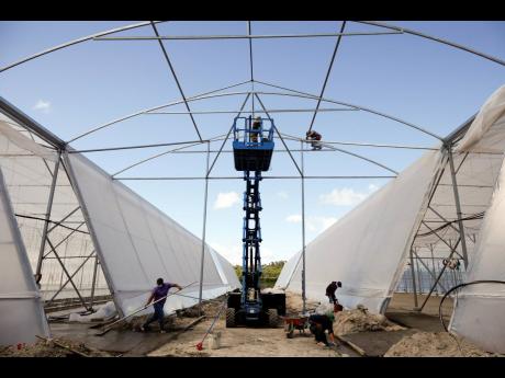 Workers build greenhouses for chilli peppers and tomatoes for export on the outskirts of the community of Las Tapias, San Marcos de Colon, Choluteca department, Honduras, on July 30, as part of special areas known as Employment and Economic Development Zon