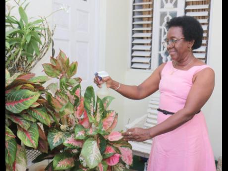 Dessine O’Connor Nembhard watering her plants, one of her favourite things to do at her home in Catherine Hall, Montego Bay. 