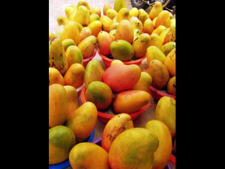 A batch of East Indian mangoes.