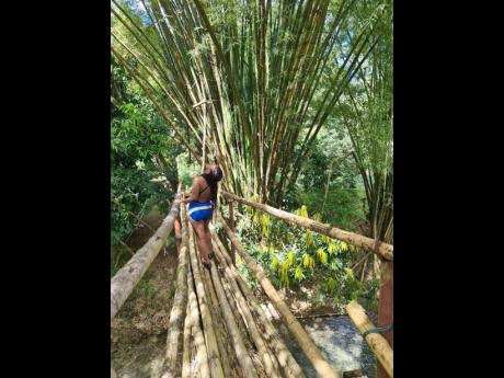 Cross that bridge when you reach it is now given a new and exciting meaning. Check out this bamboo bridge at Mayfield Falls in Clarendon. 