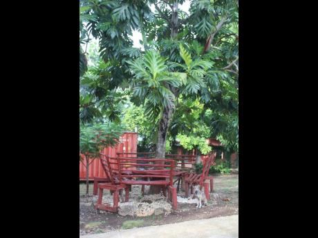 Outdoor seating at Takoo’s Calabash Kitchen. 