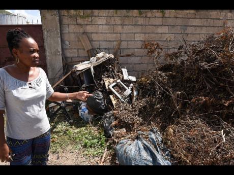 Tolima Anderson, acting principal of Rennock Lodge All-Age School in east Kingston, points to garbage that has languished on the compound. She said that garbage collectors insisted that they do not pick up trimmed trees and plant cuttings. 