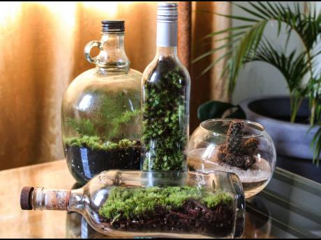  Condensation inside a terrarium is a good thing. If it forms on one side of the glass, at least once a day, it means the water cycle is happening.