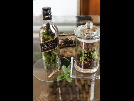 Have an old wine or whiskey bottle that has sentimental meaning to you? Or maybe you just have a love for uniquely shaped glass bottles. A great way to add to your décor is by using these simple treasures as homes for plants that do not require too much c