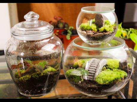 Like aquariums, which utilise fancy ceramic bridges and rocks, a fishbowl can be decorated in similar ways for plant enthusiasts. 