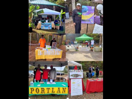 Some of the parishes being represented at the ‘Big up Yuh Parish in the Park’ event staged recently.