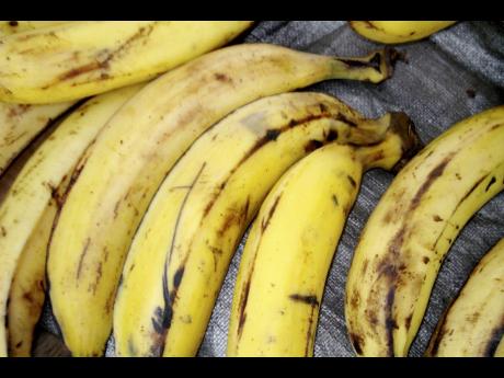 Ripe plantains ready to be cooked. The Banana Board is seeking to boost plantain production.