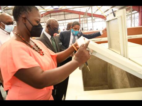From left: Fish vendor Tameisha Boodie, Local Government Minister Desmond McKenzie and Kingston Mayor Delroy Williams inspect storage compartments inside the Red Rose Fish Market in downtown Kingston following its official reopening yesterday after a $43-m