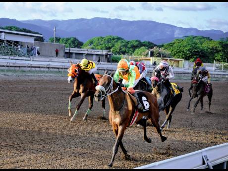 
ALABAN, ridden by Abigail Able, wins the AHWHOFAH Sprint trophy, the ninth race of a three-year-old and up overnight allowance stakes over six furlongs straight at Caymanas Park