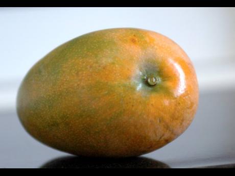 East Indian mango.