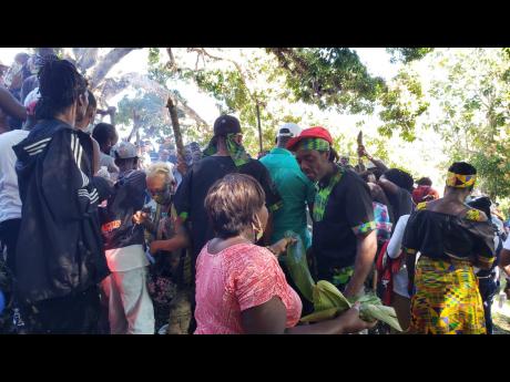 Scores of Maroons participate in a pork ritual under the Kindah Tree in Accompong, St Elizabeth, on Thursday. The Maroons defied a police order not to gather for their annual festival celebrating the 284th anniversary of their peace treaty signed with Brit