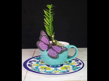 A plant in a teacup; who knew?