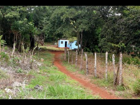 A path leading up to the house in Warminster, St Elizabeth, where John Joel Joseph (inset), a former Haitian politician and suspect in the assassination of President Jovenel Moïse last year, was captured on Friday, January 14.