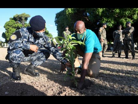 Chief of Defence Staff Rear Admiral Antonette Wemyss Gorman (left) and  Ainsley Henry, CEO and conservator of forests, plant a tree as part of the Jamaica Defence Force’s tree-planting commitment to the National Tree Planting Initiative on the grounds of