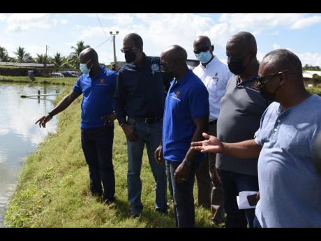 Ministry of Agriculture and Fisheries Pearnel Charles Jr. (centre) on his tour of fish farms in Spring Village and Hill Run in St Catherine on February 2. Accompanying the minister were (from left): Courtney Cole, chief technical director of agriculture sp