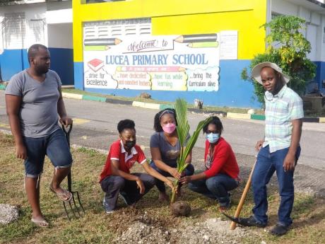 Teachers from Lucea Primary School and members of Development Area Committees (DAC) about to plant a tree on the school grounds as part of the Hanover Parish Development Committee’s tree-planting project. From left: Carl Johnson of the Lucea DAC; Nickies