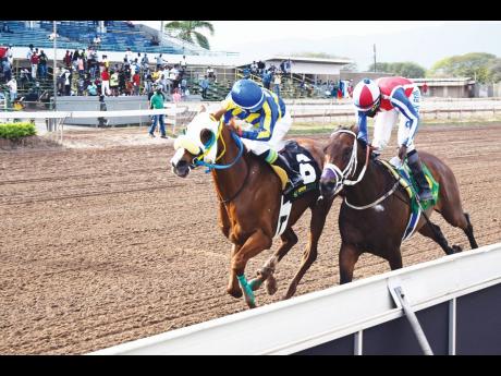 
OneOfAKind (left), ridden by Dane Nelson, wins the Chairman’s Trophy ahead of Calculus, ridden by Shane Ellis, at Caymanas Park in St Catherine yesterday.