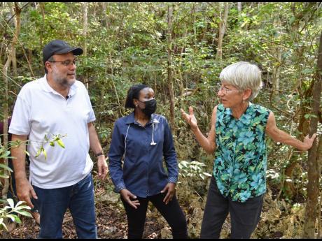 From left: Opposition Leader Mark Golding is in discussion with Senator Sophia Frazer-Binns, opposition spokesperson, Land, Environment and Climate Change, and Wendy Lee, former executive director of the Northern Jamaica Conservation Association, during th