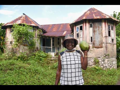 Beverly Hutchinson Shaw, a longtime family friend, stands in front of the abandoned childhood home of late Jamaican singer and songwriter Millie Small in Welcome, Hanover.