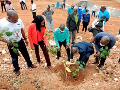 Minister Without Portfolio Matthew Samuda plants a tree in support of Noranda’s Operation Discovery Tree at Water Valley in St Ann on Thursday. Looking on are (from left) Delroy Dell, Noranda vice-president and country manager; Donna Howe, managing direc