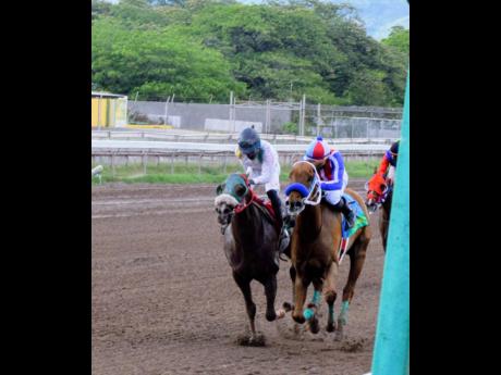 
Supreme Song (right), ridden by Shane Ellis, wins the Association of Jamaica Farriers Trophy ahead of Get A Pepsi at Caymanas Park yesterday.