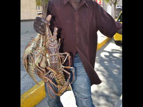 A vendor display a catch of spiny lobster for sale in downtown.