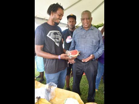Conzley Clarke (left) hands sliced melon to Franklyn Witter, minister of state in the Ministry of Agriculture and Fisheries, as Federick Samuels (centre) looks on during the St Mary Agricultural Show at Gray’s Inn Sports Complex in Annotto Bay.