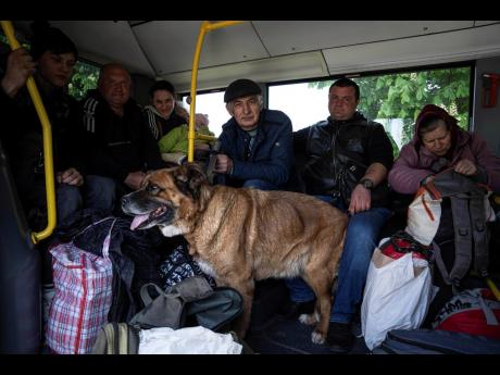 People accompanied a dog ride in the bus during evacuation near Lyman, Ukraine, on Wednesday, May 11.