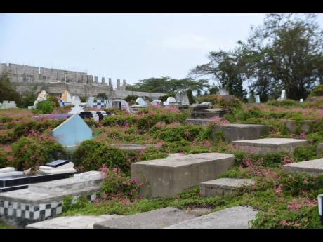 
The Church Pen Cemetery in Old Harbour, St Catherine is badly lacking in maintenance and upkeep.