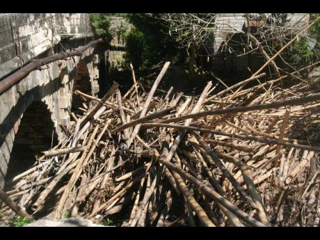 Piles of bamboo blocking the free flow of water under the Riley Bridge in Lucea, Hanover.